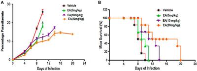 Ameliorative Effects of Dietary Ellagic Acid Against Severe Malaria Pathogenesis by Reducing Cytokine Storms and Oxidative Stress